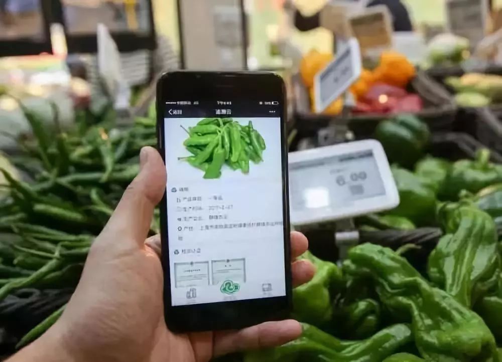 区块链农产品定制公司(区块链技术在农产品溯源系统中的应用研究)