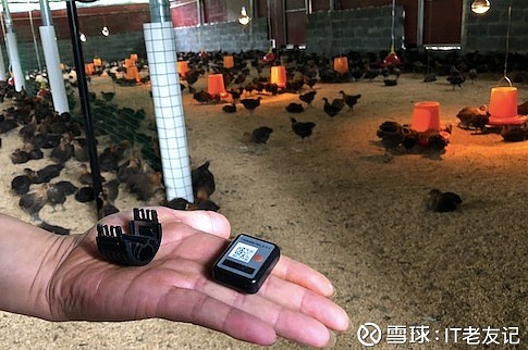 众安区块链能防伪吗(众安区块链能防伪吗安全吗)