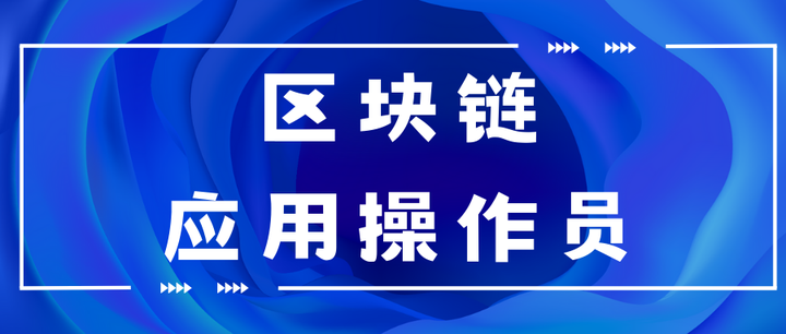 区块链操作员工资多少(区块链操作员工资多少钱一个月)